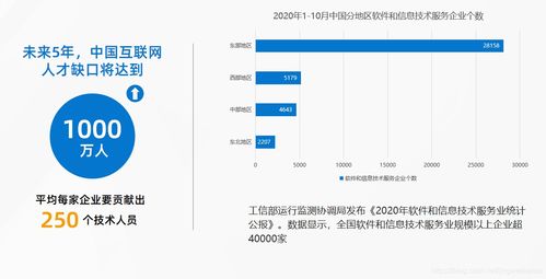 軟件開(kāi)發(fā)企業(yè)的轉(zhuǎn)型之路 挑戰(zhàn)、策略與實(shí)戰(zhàn)項(xiàng)目分享